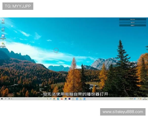 乐鱼网rmvb下载的详细操作流程，教你轻松搞定多格式影片下载